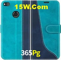 Gates of Olympus 365Pg