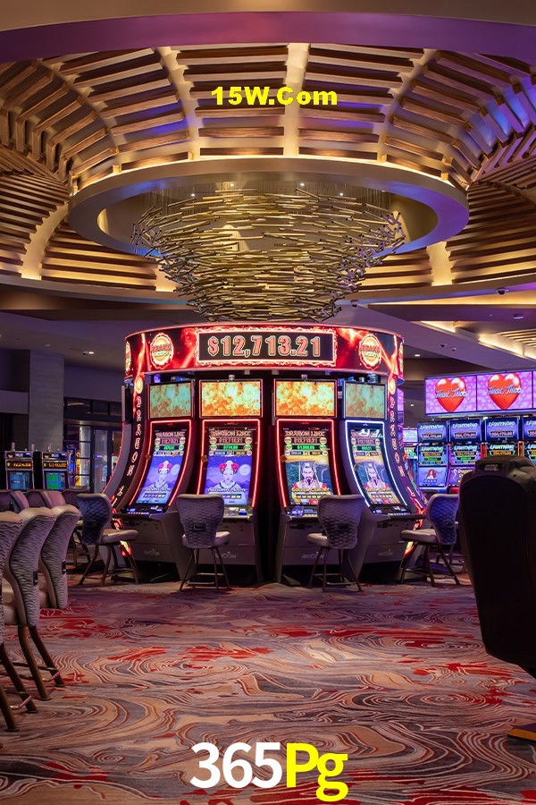 Bonus Features 365Pg